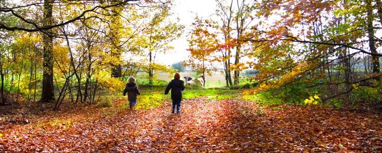 Haftpflichtversicherung mit Absicherung von deliktunfähigen Kindern